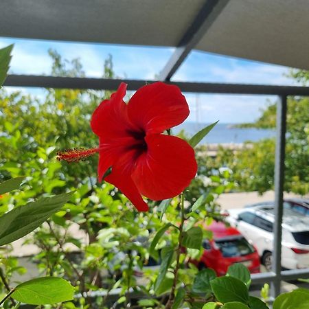Apartman Ruza Podgora Εξωτερικό φωτογραφία