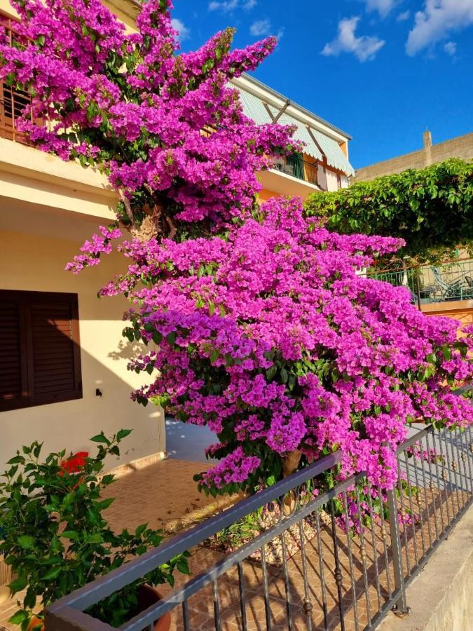 Apartman Ruza Podgora Εξωτερικό φωτογραφία